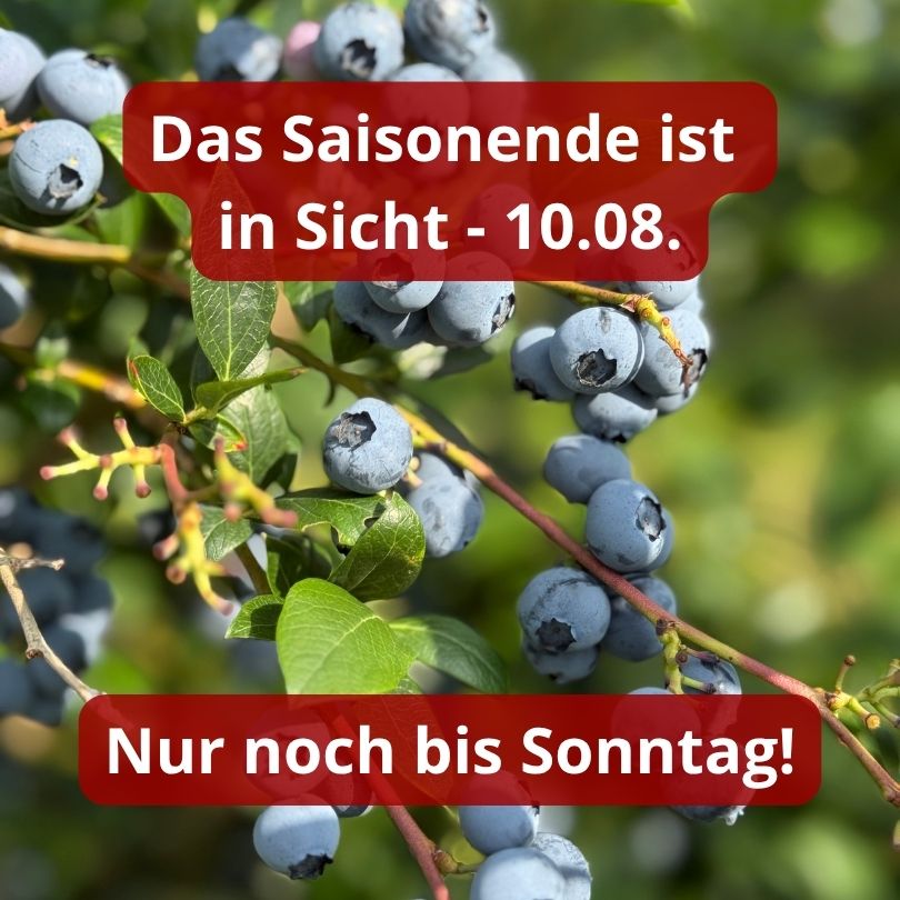 Saisonende Beeren